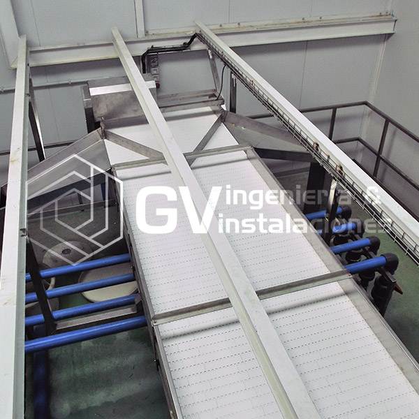 CINTA-DE-INSPECCION-CON-DETECTOR-4